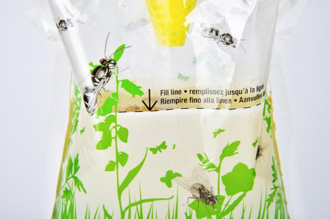 Mini-Fruchtfliegenfalle Flaschenbeutel Ihr Schlüssel zur Fliegenbekämpfung und Insektenbekämpfung 2