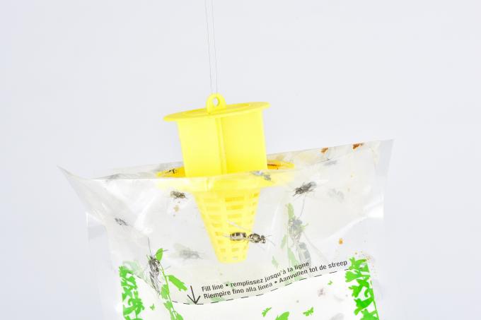 Mini-Fruchtfliegenfalle Flaschenbeutel Ihr Schlüssel zur Fliegenbekämpfung und Insektenbekämpfung 1