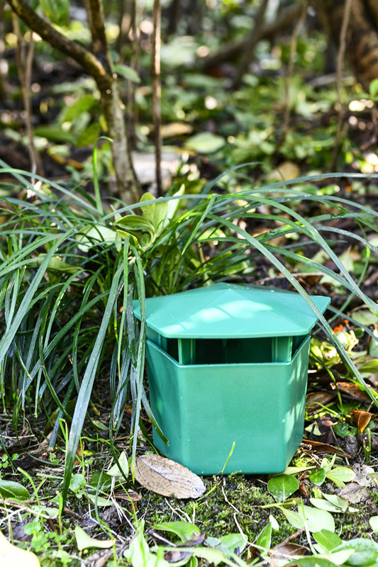 Der ultimative Lösungsansatz für Schädlinge im Garten 3