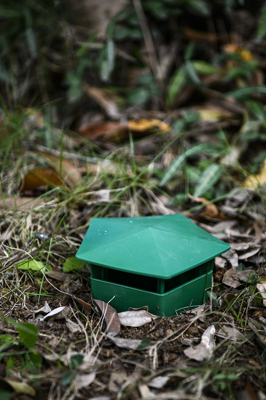 Der ultimative Lösungsansatz für Schädlinge im Garten 6